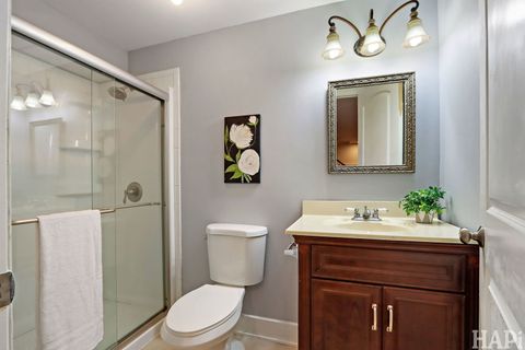 Tiny photo for 93 Liberty Street, West Dundee, IL 60118 (MLS # 12488349)