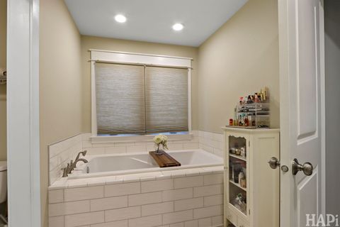 Tiny photo for 93 Liberty Street, West Dundee, IL 60118 (MLS # 12488349)