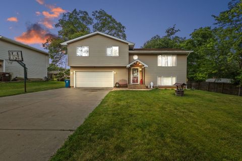 Photo of 711 Osage Street, Joliet, IL 60432 (MLS # 12639988)
