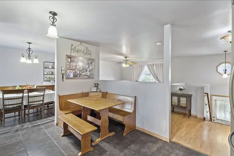 Tiny photo for 711 Osage Street, Joliet, IL 60432 (MLS # 12639988)