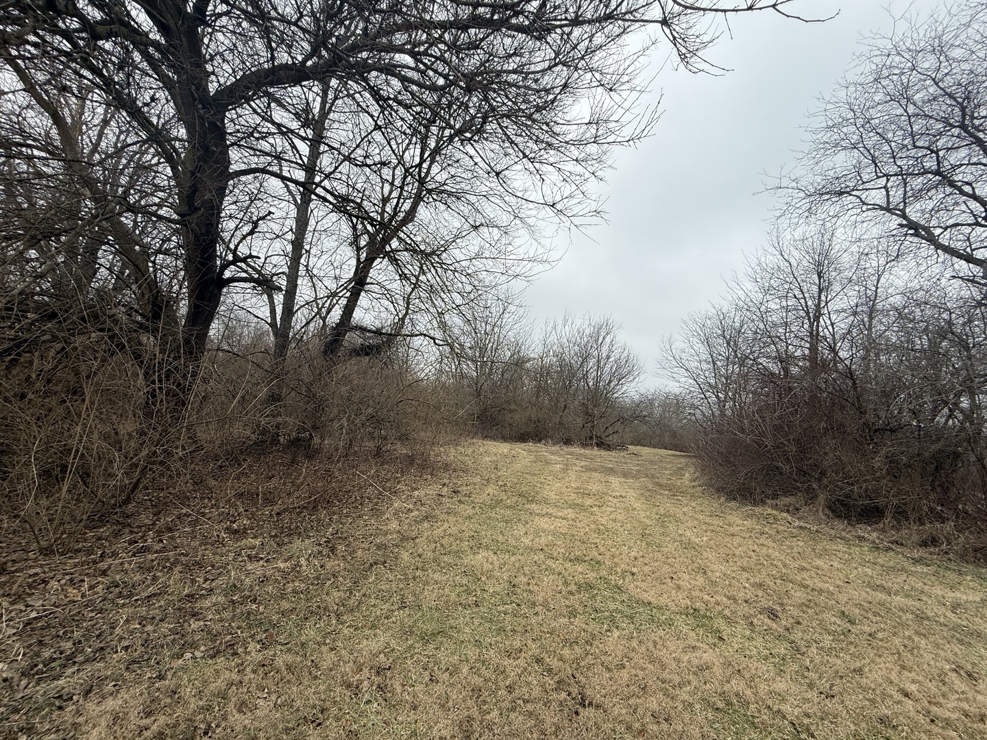 Lots 2, 3 and 4 Burr Oaks Lane