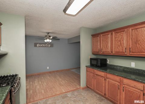 Tiny photo for 330 SULLIVAN Drive, Colona, IL 61241 (MLS # QC4266330)