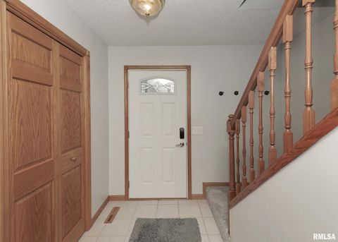 Tiny photo for 330 SULLIVAN Drive, Colona, IL 61241 (MLS # QC4266330)