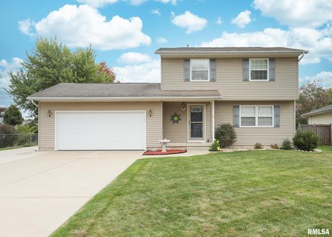 Photo of 330 SULLIVAN Drive, Colona, IL 61241 (MLS # QC4266330)