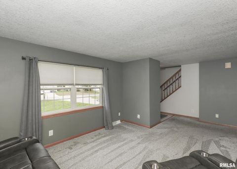 Tiny photo for 330 SULLIVAN Drive, Colona, IL 61241 (MLS # QC4266330)