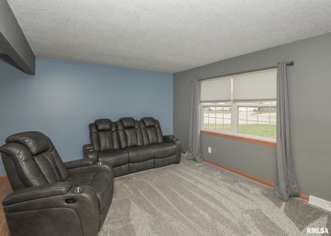 Tiny photo for 330 SULLIVAN Drive, Colona, IL 61241 (MLS # QC4266330)