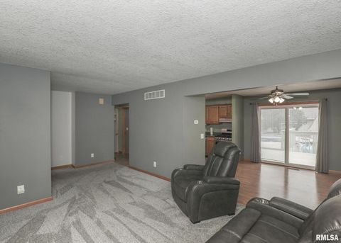 Tiny photo for 330 SULLIVAN Drive, Colona, IL 61241 (MLS # QC4266330)