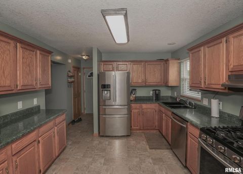 Tiny photo for 330 SULLIVAN Drive, Colona, IL 61241 (MLS # QC4266330)