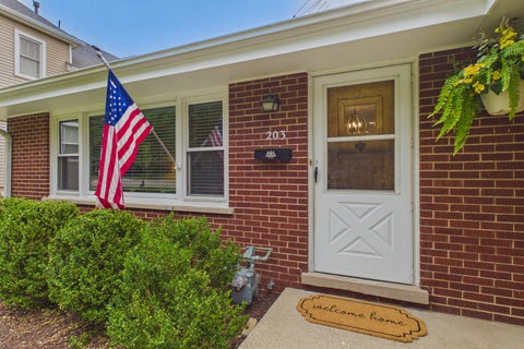 Tiny photo for 203 S Edward Street, Mount Prospect, IL 60056 (MLS # 12705386)