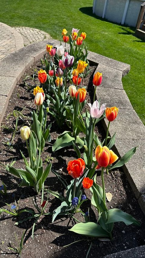 Tiny photo for 1948 Barrington Court, Aurora, IL 60503 (MLS # 12573253)