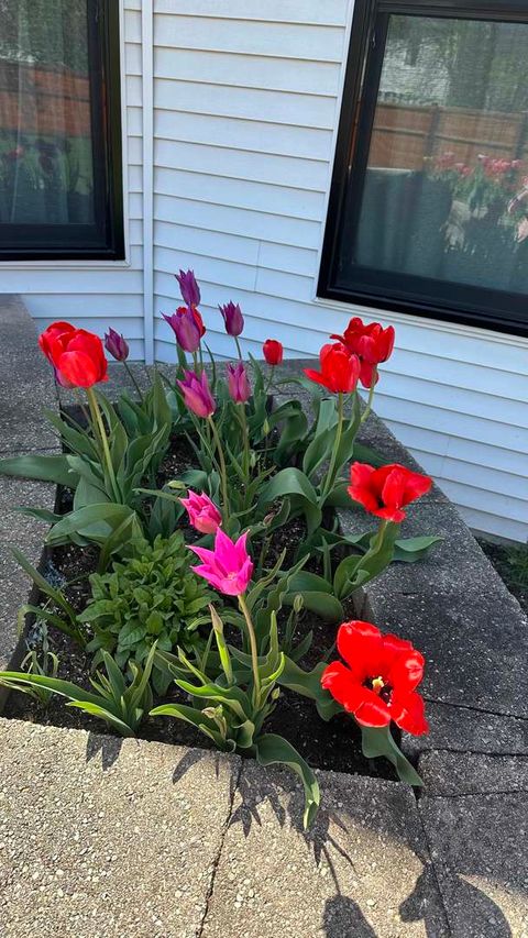 Tiny photo for 1948 Barrington Court, Aurora, IL 60503 (MLS # 12573253)