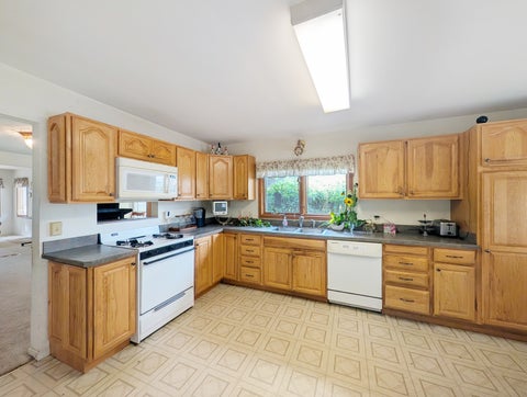 Tiny photo for 58 N Lake Avenue, Fox Lake, IL 60020 (MLS # 12769775)
