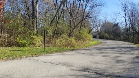 4802 Brorson Lane Johnsburg IL 60051