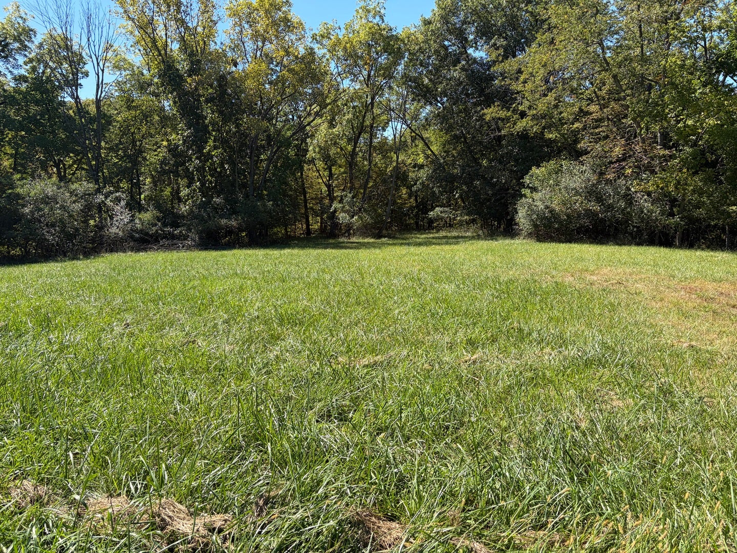 409 Sunnyslope Drive