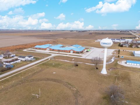 Tiny photo for 121 E James Street, Forrest, IL 61741 (MLS # 12539066)