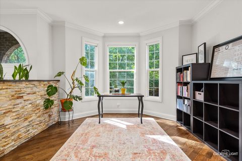 Tiny photo for 858 Shandrew Drive, Naperville, IL 60540 (MLS # 12480985)