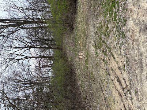 Tiny photo for 15810 IL Route 173 #1C, Harvard, IL 60033 (MLS # 12616699)