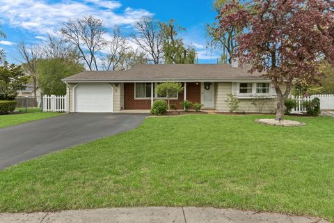 5 FORESTWAY Court Buffalo Grove IL 60089