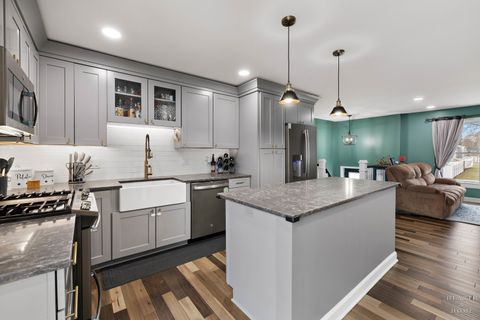 Tiny photo for 555 Rodenburg Road, Roselle, IL 60172 (MLS # 12585023)