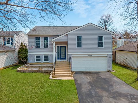 Photo of 555 Rodenburg Road, Roselle, IL 60172 (MLS # 12585023)