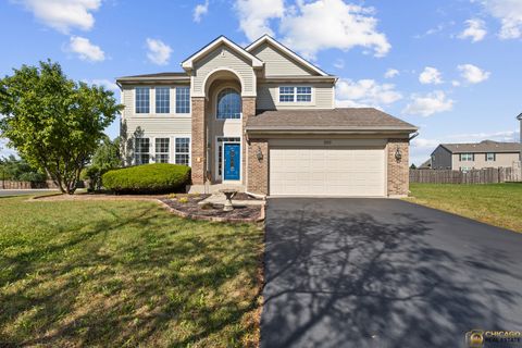 250 Annelise Lane Volo IL 60020