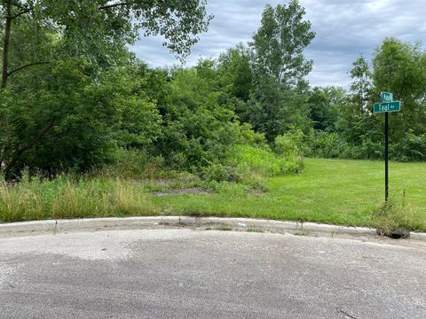 LOT 17 TEAL Avenue Elgin IL 60123