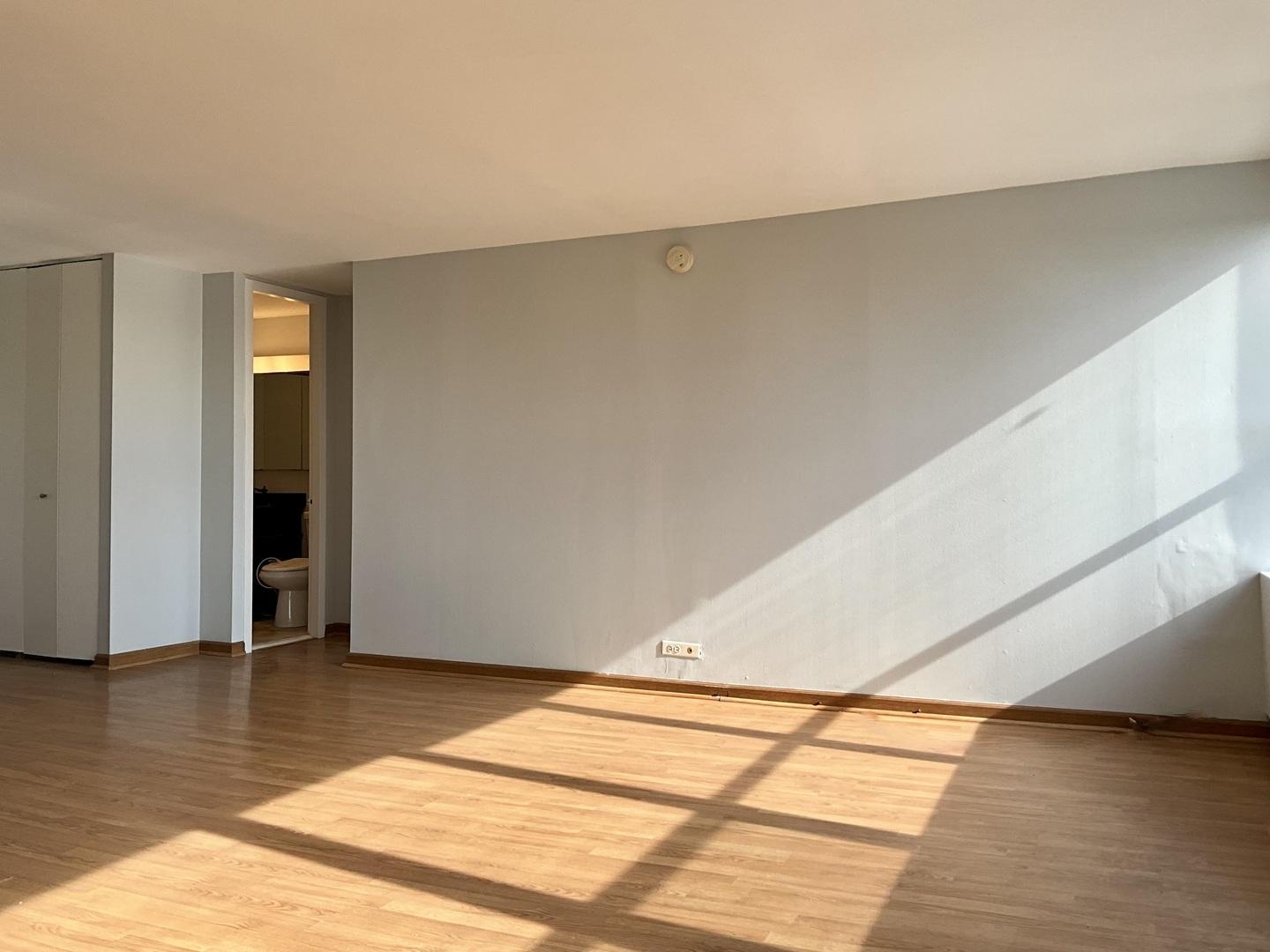 655 W IRVING PARK Road 703
