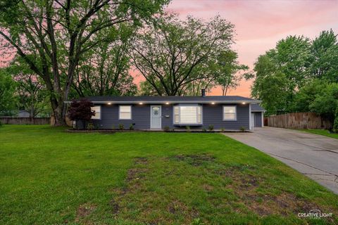 19 Crescent Court Montgomery IL 60538