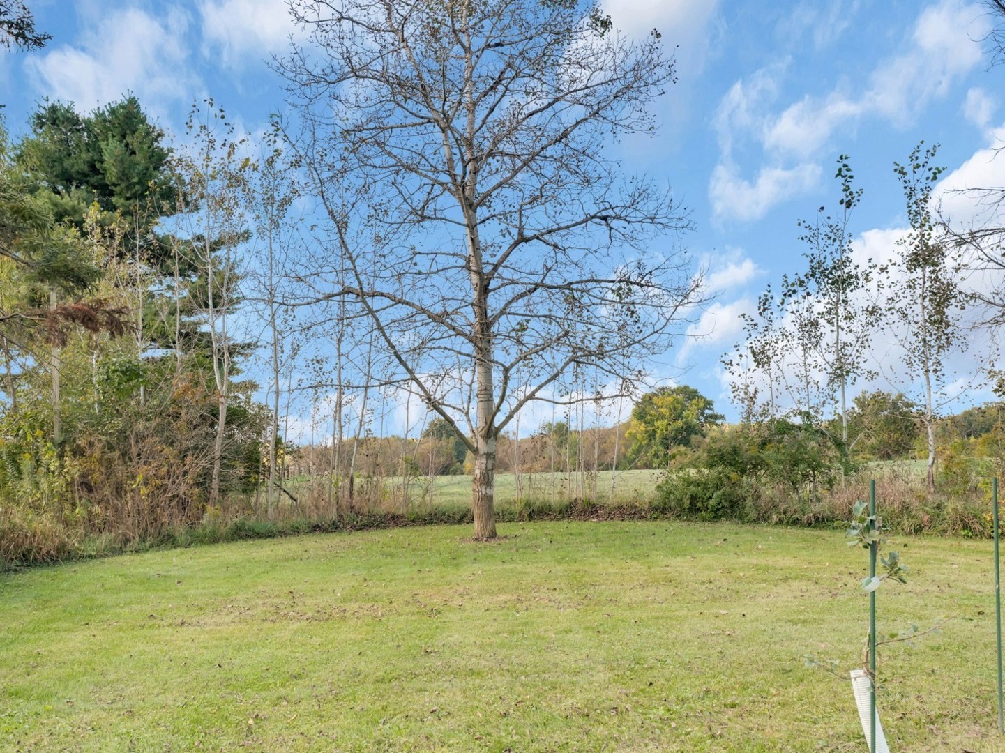 Woodstock, Illinois 60098, United States, 4 Bedrooms Bedrooms, ,3 BathroomsBathrooms,Residential,Active,225572