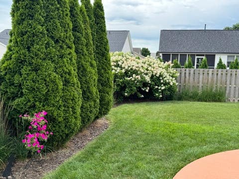 Tiny photo for 318 Piazza Lane, Chatham, IL 62629 (MLS # 12680918)
