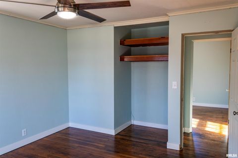 Tiny photo for 702 S DIXON Avenue, Carbondale, IL 62901 (MLS # EB459986)