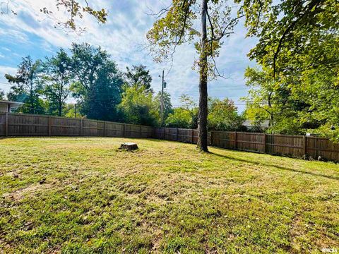 Tiny photo for 702 S DIXON Avenue, Carbondale, IL 62901 (MLS # EB459986)