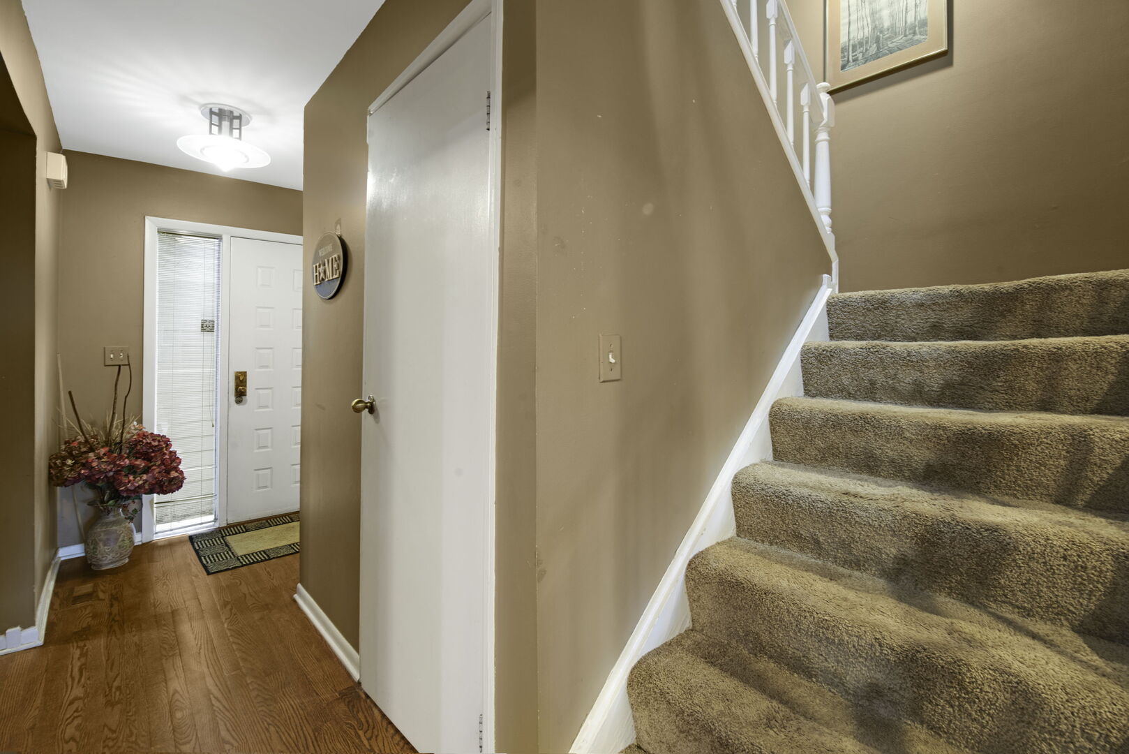 404 Bluebird Lane