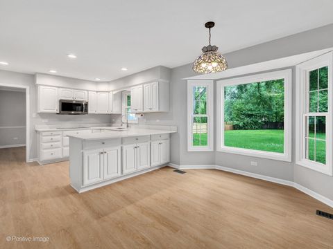Tiny photo for 805 Potomac Avenue, Naperville, IL 60565 (MLS # 12432028)
