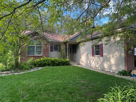 Photo of 246 Teal Lane, Braidwood, IL 60408 (MLS # 12647315)
