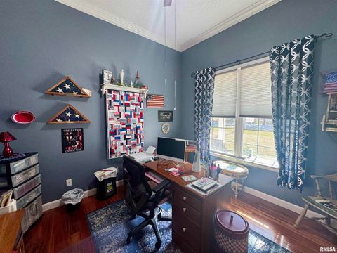 Tiny photo for 17794 E FAIRFIELD Road, Mt Vernon, IL 62864 (MLS # QC4268366)