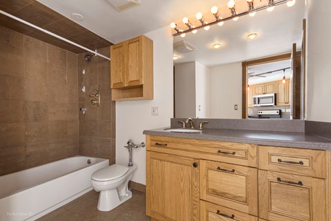 Tiny photo for Chicago, IL 60610 (MLS # 12783497)