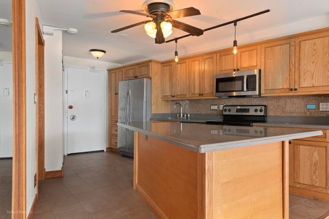 Tiny photo for Chicago, IL 60610 (MLS # 12783497)