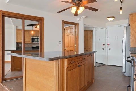 Tiny photo for Chicago, IL 60610 (MLS # 12783497)