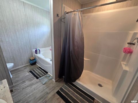 Tiny photo for 303 N MARION Street, Centralia, IL 62801 (MLS # EB458777)