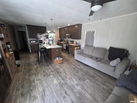 Tiny photo for 303 N MARION Street, Centralia, IL 62801 (MLS # EB458777)