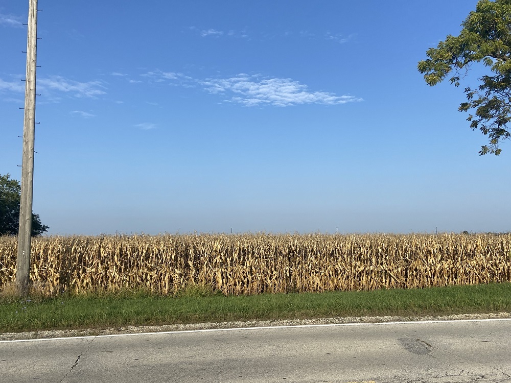 28200 S Lagrange Highway