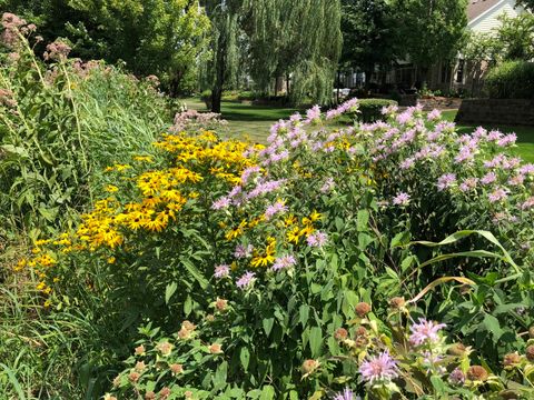 Tiny photo for 215 Wildflower Lane, La Grange, IL 60525 (MLS # 12451476)