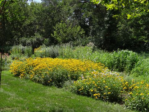 Tiny photo for 215 Wildflower Lane, La Grange, IL 60525 (MLS # 12451476)