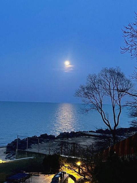 Tiny photo for 1630 Sheridan Road #2N, Wilmette, IL 60091 (MLS # 12492606)