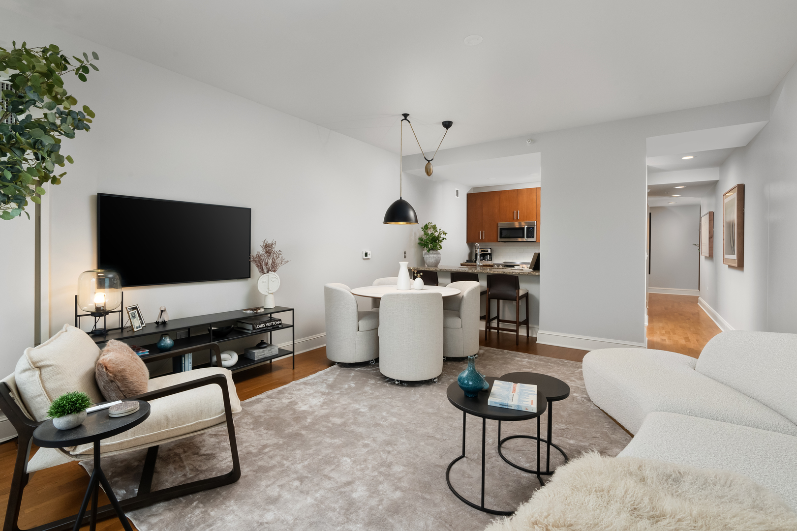 850 N Lake Shore Drive 707