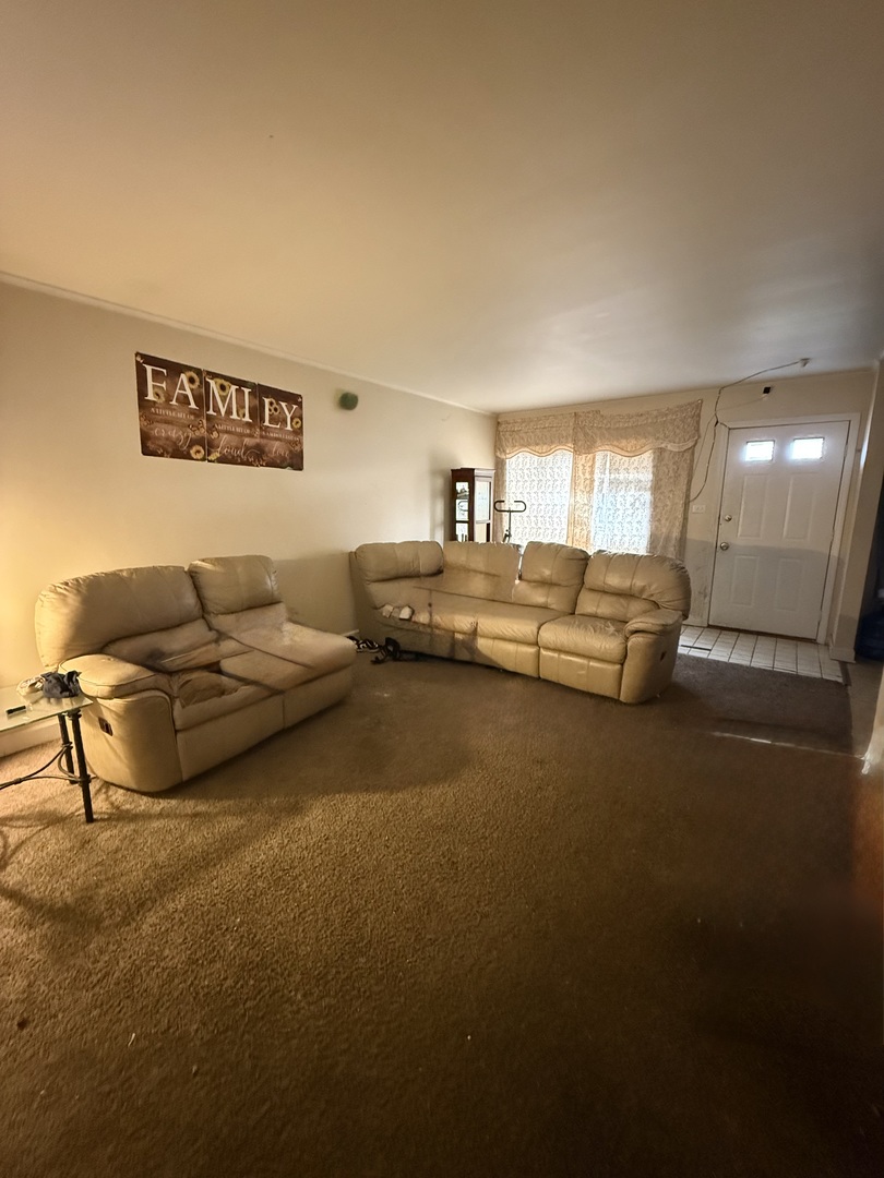 374 Sauk Trail - Photo 2