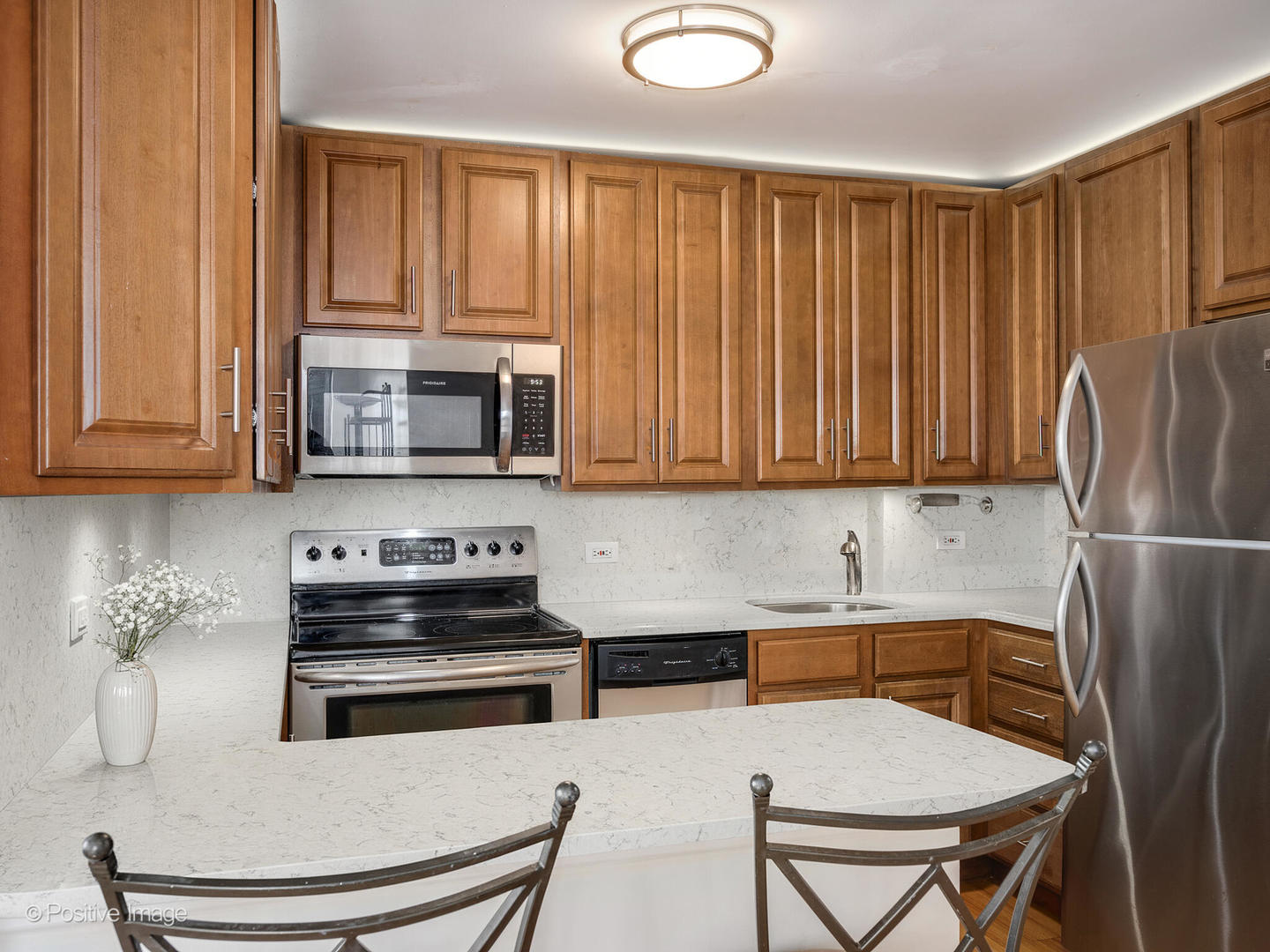 1455 N Sandburg Terrace 2009