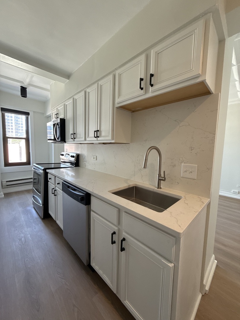 1211 N LASALLE Street 501