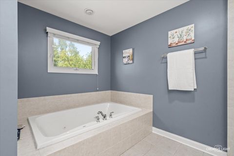 Tiny photo for 25216 ROUND BARN Road, Plainfield, IL 60585 (MLS # 12475176)